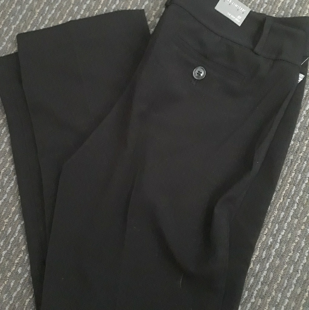 NWT DRESS PANTS in PETITE
